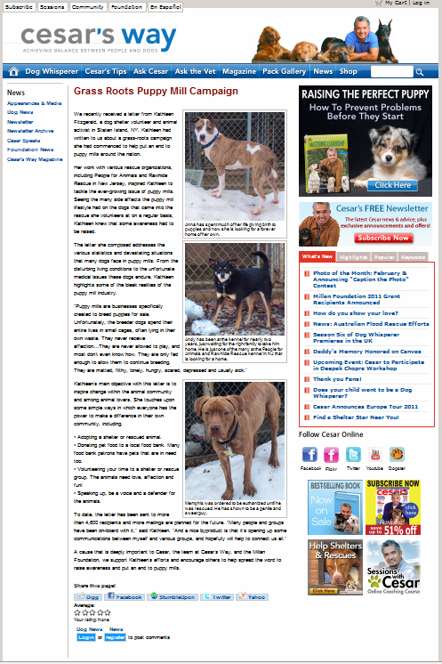 Cesar Millan's organization has written an article about Kathleen Fitzgerald's letter and grass roots puppy mill campaign, and published it on their website as well as in their newsletter.